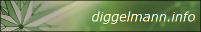 diggelmann.info